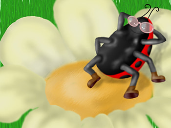 Funny, Insects, Ladybugs HD wallpaper