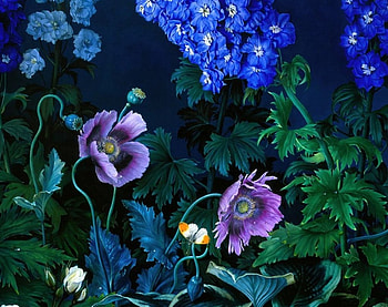 A Synphony of Blues and White, artwork, poppies, leaves, painting, blossoms, flowers HD wallpaper