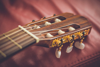 Music, Guitar, Vulture, Strings HD wallpaper