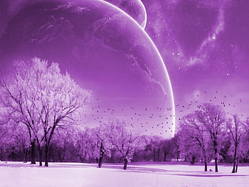 PURPLE WORLD, birds, planets, art, stars, land, purple, pink, earth, planet, 3d, fantasy, clouds, trees, space, sky HD wallpaper