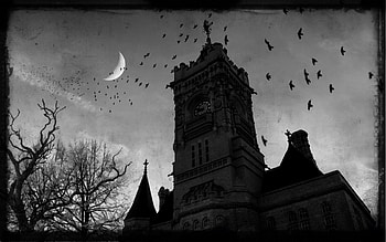 Building, , Church HD wallpaper