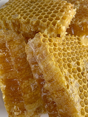 Detailed macro shot of fresh honeycomb dripping with golden honey, showcasing natural sweetness. HD phone wallpaper