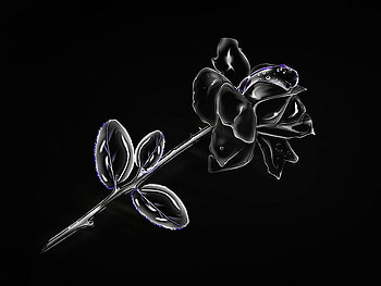 Abstract Flower, , cool, abstract, flower HD wallpaper