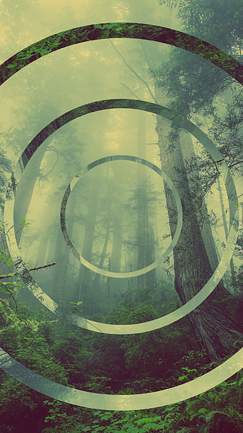 circle, green, forest, artistic HD phone wallpaper