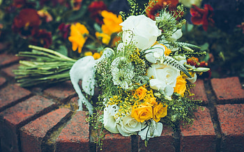 Flowers, Roses, Petals, Bouquet, Composition HD wallpaper