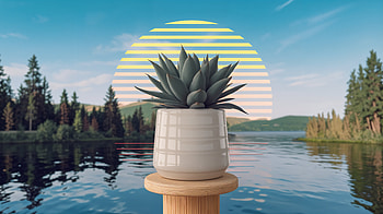 Serene Potted Plant: A Ultra for Tranquil Spaces, potted plant, plant, succulent, lake HD wallpaper