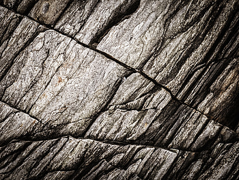 Rock, Texture, Textures, Stone, Fossil HD wallpaper