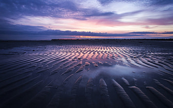sand ripples on a beach at a pink sunset, sea, pink, sand, ripples, sunset, beach HD wallpaper