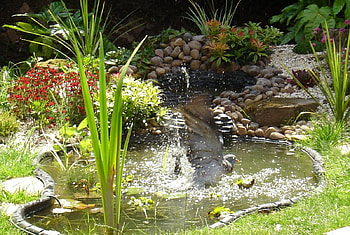Low altitude, gardens, nature HD wallpaper