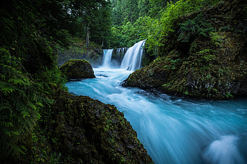 Forest, waterfall, river, nature HD wallpaper