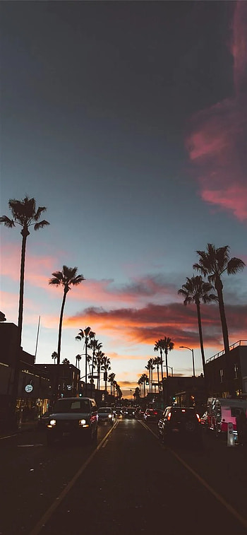 Best Los angeles 11, Los Angeles Aesthetic HD phone wallpaper