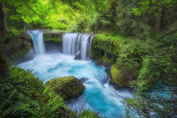 Waterfall in the Oregon Forest, waterfall, nature, forest, oregon HD wallpaper