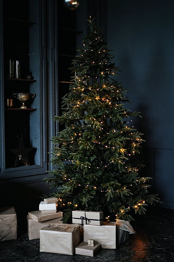 Charming Christmas tree adorned with lights, surrounded by wrapped gifts, creating a warm holiday atmosphere. HD phone wallpaper