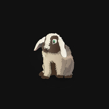 Art, Minimalism, Rabbit, Hare HD phone wallpaper