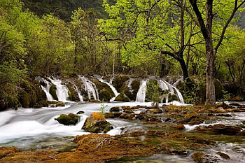 Little Flowing Waterfalls, falls, trees, water, rock HD wallpaper