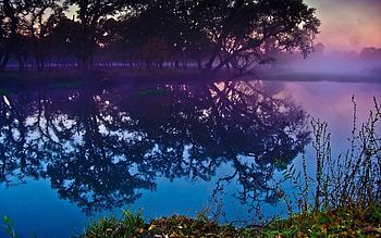 Landscape, Rivers, Trees HD wallpaper