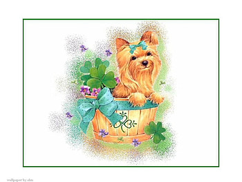 dog is basket for st patty, dog, shamrocks, irish, yorkey, st pats, st patty HD wallpaper