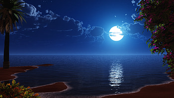 Tropical beach, coast, full moon, night, sky, scenery, digital art HD wallpaper