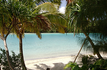 One Foot Island paradise beach and lagoon ocean Aitutaki Cook Islands Polynesia, island, lush, blue, sand, palm, tropical, beach, zen, cook, one, aitutaki, trees, desert, islands, ocean, sea, escape, foot, alone, exotic, paradise, beautiful, lagoon, peace, polynesia HD wallpaper
