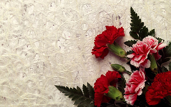 Flowers, Leaves, Drops, Carnations, Bouquet, Freshness HD wallpaper