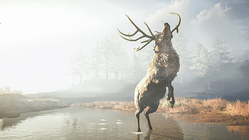 Assassins Creed Odyssey Reindeer , assassins-creed-odyssey, assassins-creed, 2018-games, games, reindeer HD wallpaper