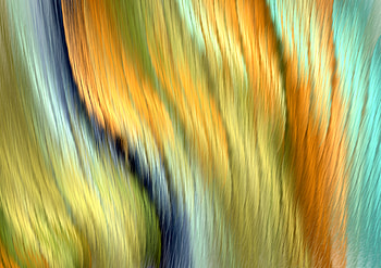 Abstract, Shine, Multicolored, Motley, Lines, Brilliance, Wavy HD wallpaper