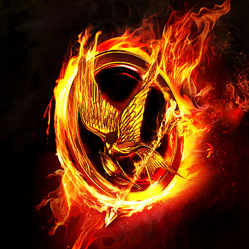 Hunger Games , iPad , Thrilling adventure, Captivating visuals HD phone wallpaper