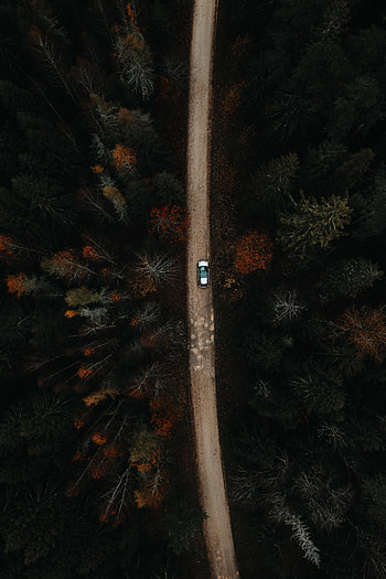 View From Above, Miscellanea, Miscellaneous, Road, Forest, Car HD phone wallpaper