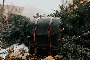 Miscellanea, Miscellaneous, Spruce, Fir, Needles, Backpack, Rucksack, Leather HD wallpaper