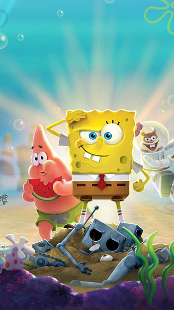 spongebob, sea bear HD phone wallpaper