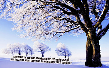 Snowflakes are fragile, winter, snowflakes, snow, icy, cold, december, nature HD wallpaper