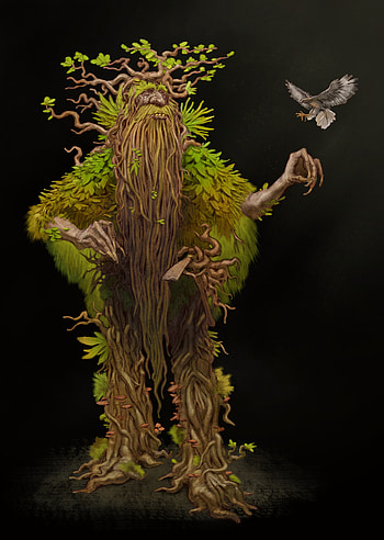 Treebeard character, Lord of the Rings series, Artistic representation, Fangorn forest HD phone wallpaper