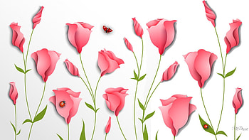 Fresh Pink Tulips, ladybugs, bright, flowers, fragrant, tulips, spring, Firefox Persona theme HD wallpaper