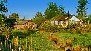Grassland marsh village, Fishing community simplicity, Tranquil homes, Natural beauty HD wallpaper