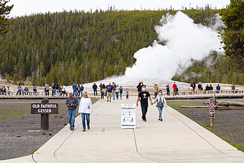 Yellowstone National Park, Reopening, National Park Service HD wallpaper