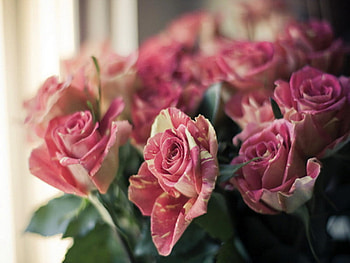 Vintage, pink, white, roses, green, arrangement HD wallpaper