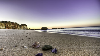 Landscape, Beach, Shells HD wallpaper
