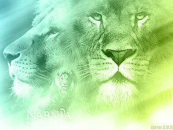 Narnia Aslan, lion, king HD wallpaper