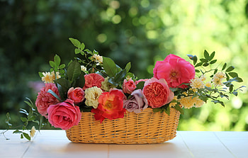 Flowers, Roses, Leaves, Branches, Garden, Basket, Composition HD wallpaper