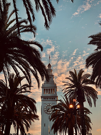 Cities, Architecture, Palms, Building, Tower HD phone wallpaper