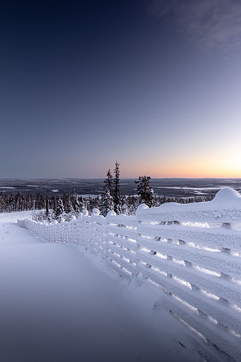 Winter, Nature, Snow, Horizon, Fence, Frost, Hoarfrost, Snow Covered, Snowbound HD phone wallpaper