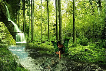 Secrets in the forest, falls, fairy, sunlight, trees, grass, forest, stream HD wallpaper
