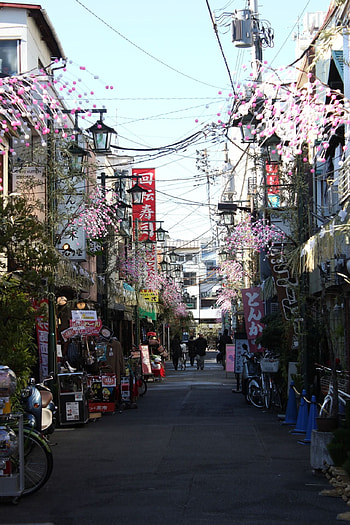 Tokyo alley, Travel graphy, Cultural gems, Japanese charm HD phone wallpaper