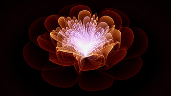 Fractal, abstract, floral pattern HD wallpaper