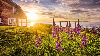 Morning on Bailey Island, Maine, sea, house, blossoms, clouds, sky, flowers, sunrise, usa HD wallpaper