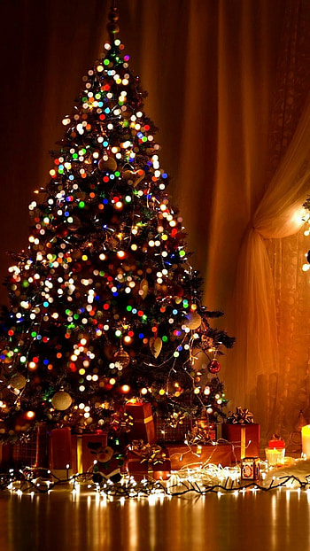 Christmas tree, Christmas Lights HD phone wallpaper