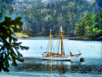 Lovely View, boat, birds, peaceful, beauty, sailboats, boats, trees, mountains, water, ocean, sea, woods, landscape, paradise, beautiful, sailboat, leaves, green, view, sailing, nature, lovely, forest, splendor HD wallpaper