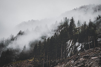 Nature, Trees, Clouds, Mountain, Fog, Slope HD wallpaper