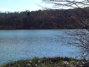 Didn't rest just came out of the woods., dam, view, water, forest, lake HD wallpaper
