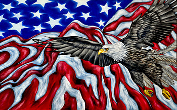 American Flag Artistic Bald Eagle Eagle Flag Wings Â· | Background ID:783236 HD wallpaper